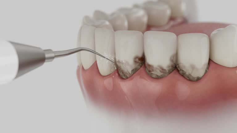 Reliable Dental contractor in Pemberville, OH by Dentist Open Now